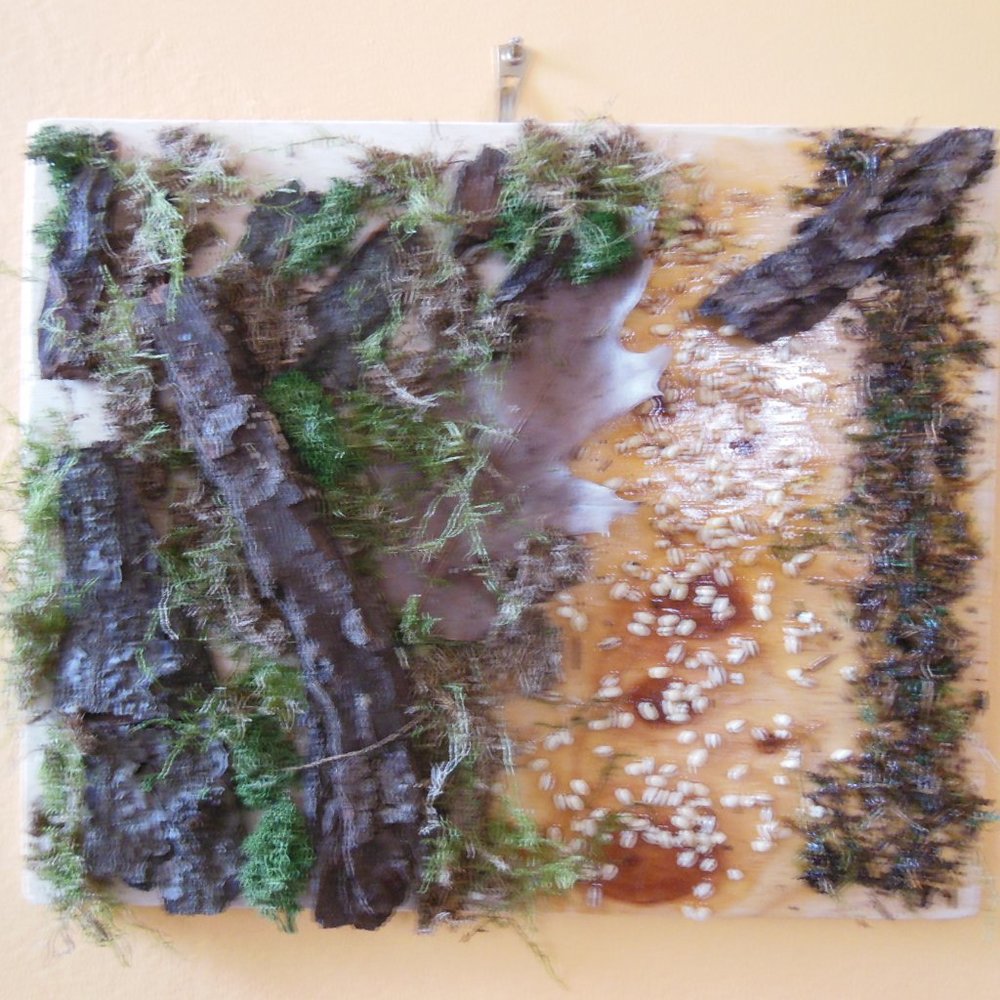 Moss & Bark Original Artwork